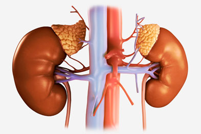 chronic-kidney-failure