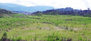 चाँगुनारायणमा बनाइने वीर अस्पतालको डीपीआर तयार गर्न सरकारले दियो ३० करोड बजेट