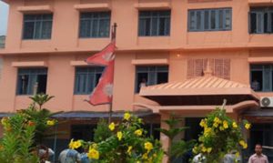 नक्कली आरोपित आठ डाक्टरलाई सफाइ