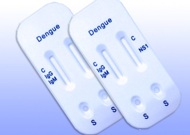 विशेषज्ञ टोलीद्वारा कीटजन्य रोगको अध्ययन सुरु