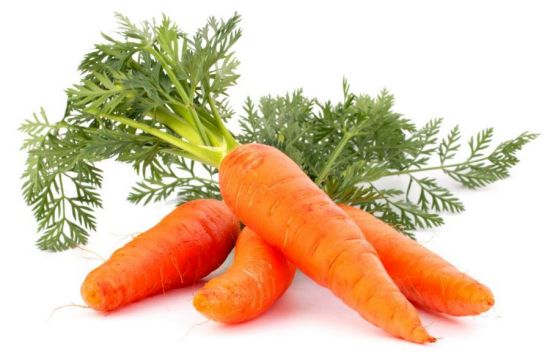 carrot1