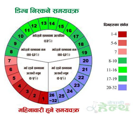 metiration-cycle-copy