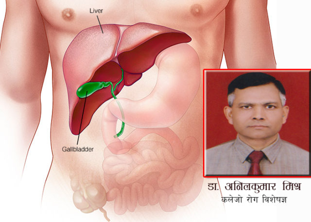 यसरी जोगाउन सकिन्छ कलेजो