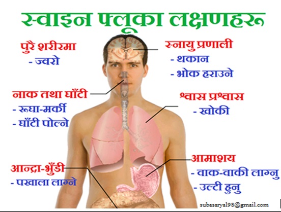 ‘स्वाइन – फ्लू’ के हो ? कसरी जोगिने ?