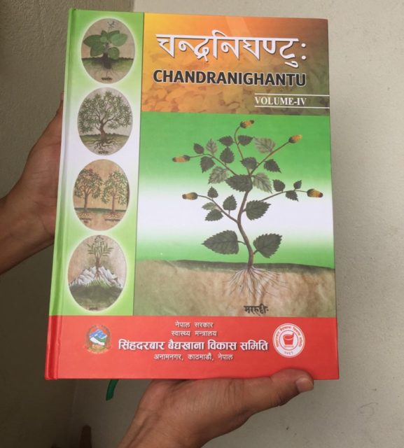 आयुर्वेदिक औषधि चिन्नका लागि अति उपयोगी ‘चन्द्रनिघण्टु’