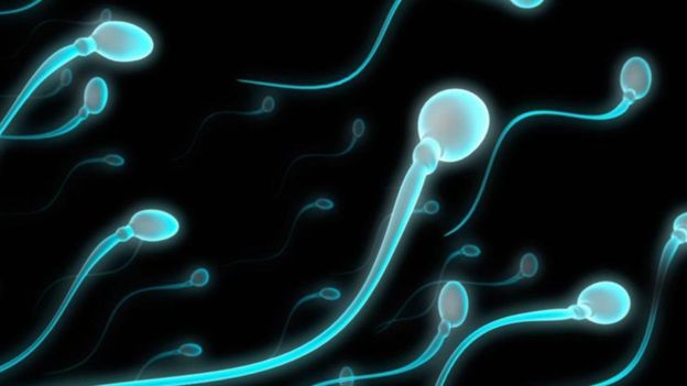 गर्भ बस्न नदिन ‘पुरुषले सेवन गर्ने चक्की’ बनाउने प्रयासमा वैज्ञानिक