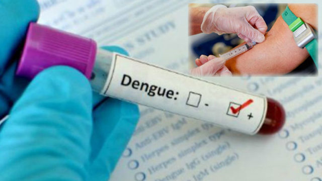 डेंगुको महामारी : ७० हजारलाई संक्रमण, ४ जनाको मृत्यु