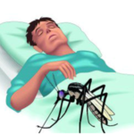 तनहुँमा दोस्रो व्यक्तिमा मलेरियाको संक्रमण पुष्टि