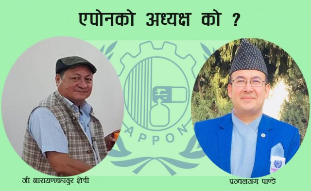 औषधि उत्पादक संघको अध्यक्षमा क्षेत्री र पाण्डेद्धारा उम्मेद्धारी घोषणा