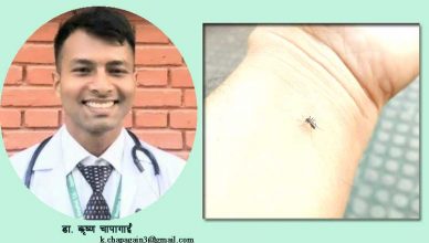 के आयुर्वेदमा डेंगूको उपचार सम्भव छ ?