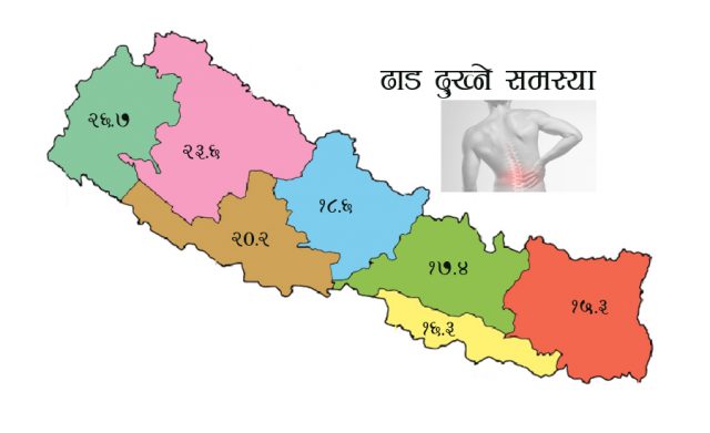 एक महिना भित्र ढाड दुखेका कारण नियमित काम गर्न नसकेका नेपाली १९ प्रतिशत