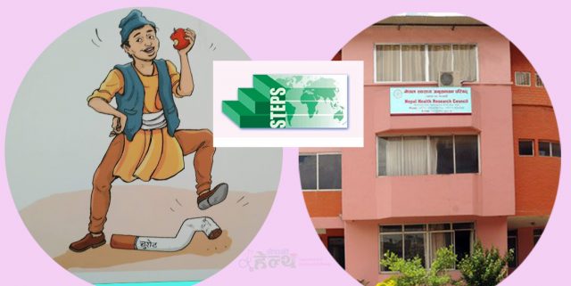 पाँच बर्षमा चुरोटका अम्मली डेढ प्रतिशतले घटे
