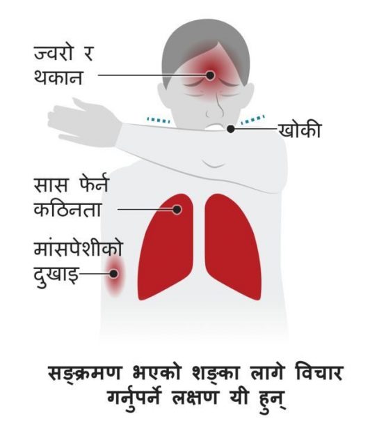 कोरोनाभाइरस : मानिसमा सङ्क्रमण भएपछि यसले कस्तो असर देखाउँछ ?