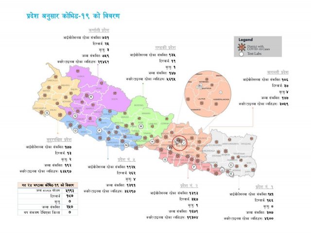 कोभिड – १९ नेपाल अपडेट :  कुन प्रदेशमा कति संक्रमण, कति मृत्यु, कति निको भए ?