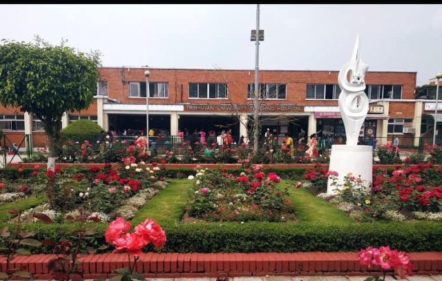 को बन्ला त्रिवि शिक्षण अस्पतालको कार्यकारी निर्देशक ? अन्तर्वार्ताका लागि चार जना छानिए