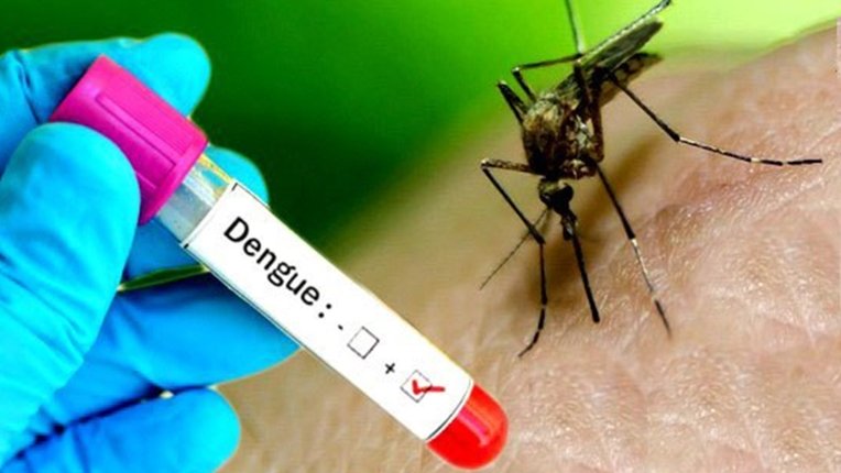 देशभर डेंगु संक्रमितको संख्या २ हजार नाघ्यो