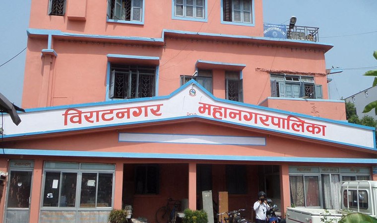 विराटनगर महानगरद्वारा लार्भा नष्ट गर्ने अभियान