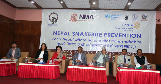 ‘नेपालमा प्रत्येक वर्ष ४० हजार बढीलाई सर्पले डस्छ, ३ हजार बढीको ज्यान जान्छ’