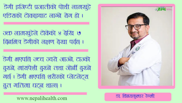 डेंगीको लक्षण र उपचार विधि