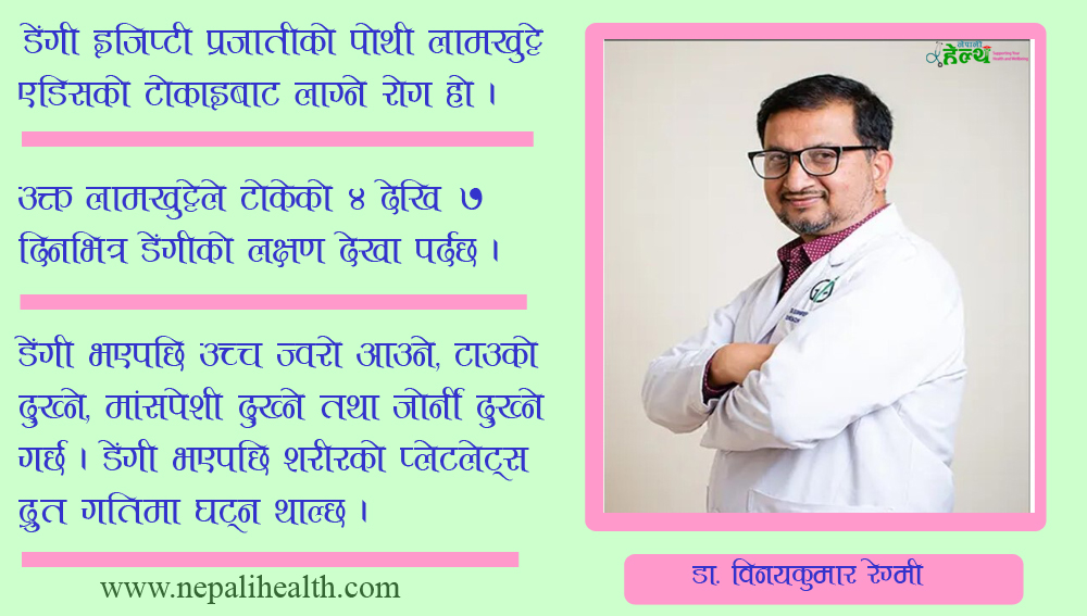 डेंगीको लक्षण र उपचार विधि