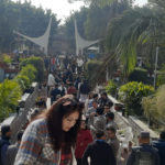 नेपाल मेडिकल काउन्सिल निर्वाचनको आज अन्तिम दिन, भोट हाल्ने भीड (फोटो फिचर)