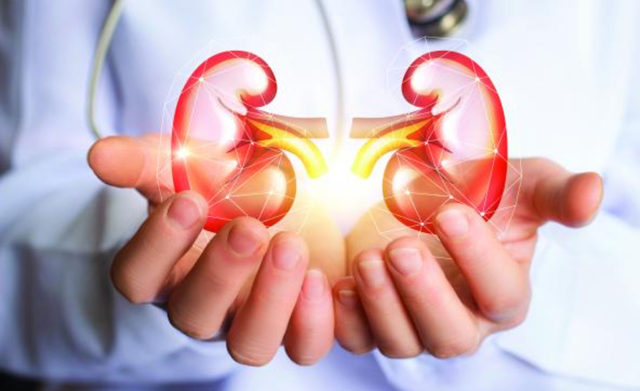 प्रारम्भिक परीक्षणले जोगिन सक्छ मिर्गौला रोगबाट