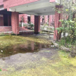 जेनजी आन्दोलनमा जलेको रामशाहपथको स्वास्थ्य तथा जनसंख्या मन्त्रालय अहिले कस्तो भयो ? (फोटो फिचर)