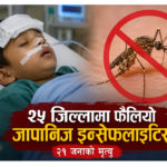 २५ जिल्लामा फैलियो जापानिज इन्सेफलाइटिस, २१ जनाको मृत्यु